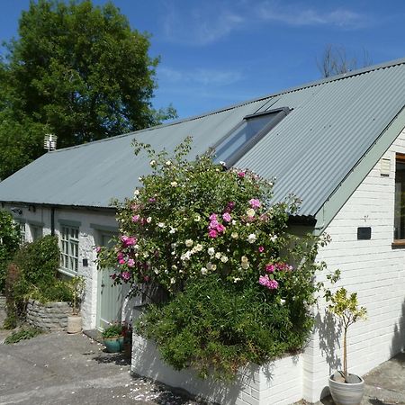 The Garden Room Dundon Экстерьер фото